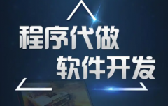 网站建设、小程序、软件APP开发、AI人工智能、物联网开发
